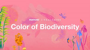 Color of Biodiversity - Official Launch Page