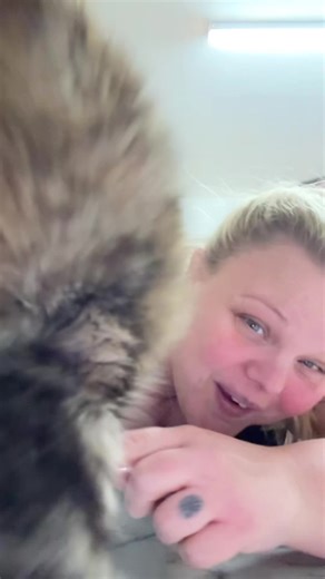 Important Disclaimer for My Viewers