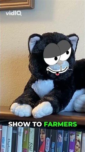 Rolling Dice to Create a Minecraft World!🎲