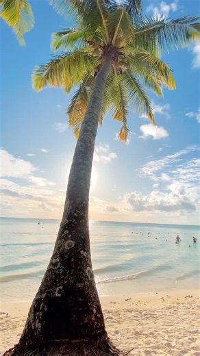 Welcome to Trou aux Biches beach in the north of Mauritius 🇲🇺 Mauritius, something to sea #mauritius #mauritiusexplored #island #africa Mauritius, it’s the journey and experience #mauritiusisland #travelling #travel #coconut #summer #holiday #travelstoke #vegetarian #coconuts #ocean #berlin #summer #beach #munich #liebe #ilemaurice #beaches #holidays #honeymoon #aventure #adventures #weddingdress #adventure | Mauritius Island
