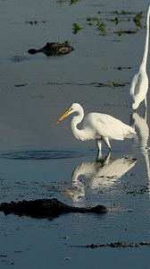 22K views · 19 reactions | TFW you are hunting while also being...