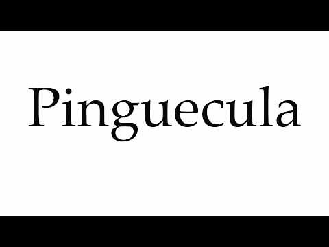 How to Pronounce Pinguecula