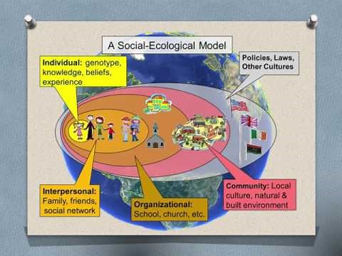 Introduction to Community Health Nursing