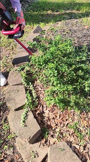 using the hyper tough 20v max trimmer