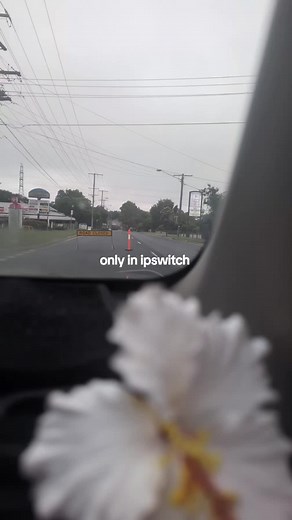 Exploring Ipswich Queensland: Weather and Local Attractions