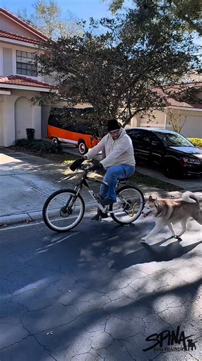 Emerson Spina - Dog Trainer on Instagram: "Andar de bicicleta com seu cachorro é uma forma deliciosa de gastar energia e fortalecer a conexão 🐕🚴‍♂️ Com o passo a passo certo, seu cachorro aprende a acompanhar a bike com calma, segurança e sempre no ritmo ideal. Foi assim que eu treinei a Laika, a Amora, o Simba e o Koda esse dia.👏 Bora andar de bike com seu melhor amigo? Você já tentou passear de bike com seu cachorro? #OrlandoDogTrainer #DogTrainingOrlando #FloridaDogs #