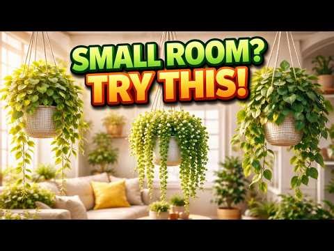 7 Best Hanging Plants for Small Apartments & Tiny Spaces (NO FLOOR SPACE NEEDED)
