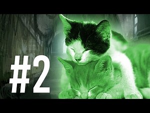 SLUGCAT PUPS?! || Rain World