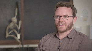 The list of animals that have already entered the ‘Stone Age’ and use their own tools