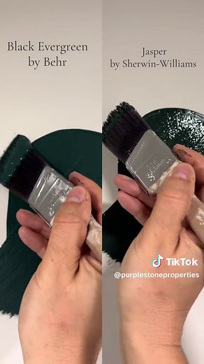 Dried Paint Sample Showdown: Behr vs Sherwin-Williams