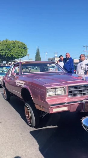 @𝔏𝔬𝔴𝔯𝔦𝔡𝔢𝔯𝔊𝔦𝔯𝔩 ✨ #fyp #lowriderslife