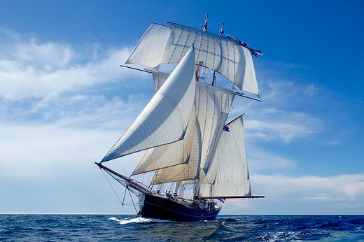 WYLDE SWAN - Sail Training International