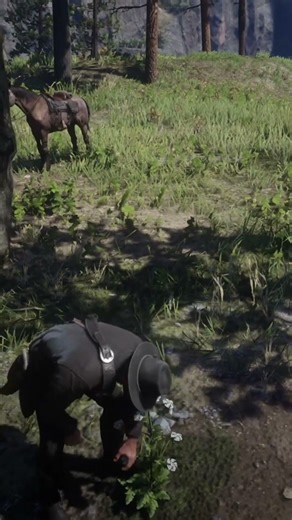 RDR2 Wild Carrots - North Valentine