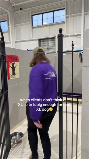 Luxury Dog Daycare in Columbus Ohio