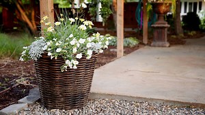 172K views · 5.5K reactions | Planting a container in shades of white!  | Garden Answer | Facebook