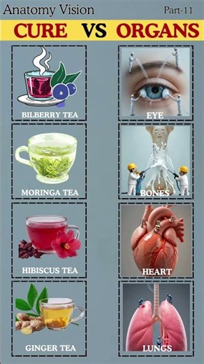 Best Foods That Support Your Body Better Than You Think