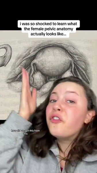 Understanding Female Pelvic Anatomy: Exploring Pelvic Bone and Organs