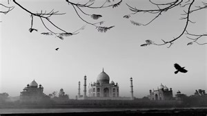 How to Use Foreground to Create Better Photos