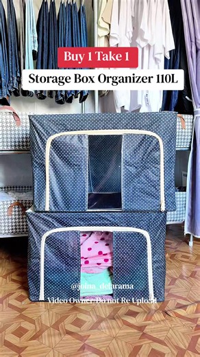 Buy 1 Take 1 Storage Box Organizer for Clothes