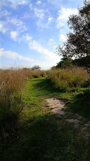 Parque Nacional Iberá Ctes Argentina