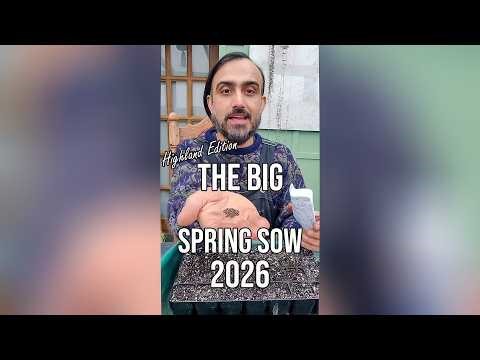 The Highland Garden | First Spring Sowings 2026 🌱