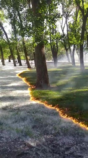 Satisfying way to clean fluff 😳✨