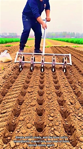 Agrarian Culture : Efficiency of Open Land Planting Hole Preparation