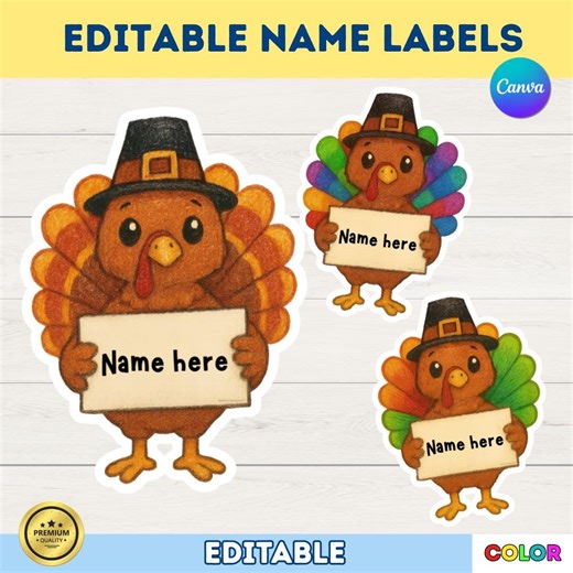 Editable Name Labels in Canva | Thanksgiving Turkey Classroom Tags | Student Desk, Cubby & Binder Labels - Etsy