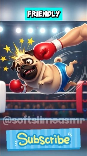 Pug’s First Boxing Match ever🐶😹🥊#shorts #dogs #puppy #pets #cat