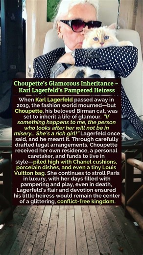 Choupette’s Glamorous Inheritance – Karl Lagerfeld’s Pampered Heiress