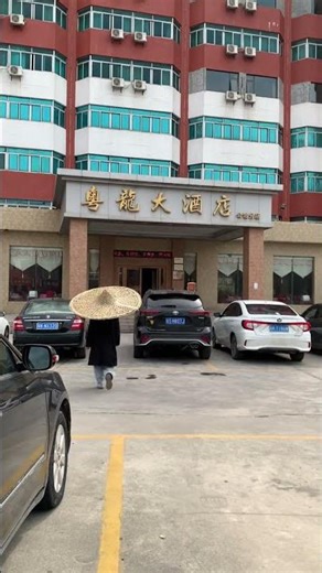 Crazy Cat Tricks - Must See Cat Videos Compilation