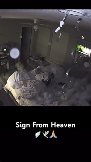 Sign From Heaven🪽#sign #signfromheaven #signfromgod #shorts #grief #loss #lifeafterdeath #angel