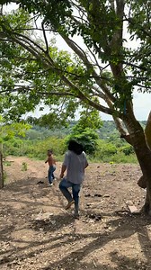 1.1M views · 48K reactions | Pobre oso cae tan fácil 藍藍藍 #fblifestyle | Yo soy el traqui | Facebook