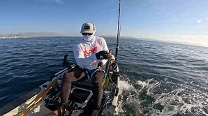 venia troleando carnada viva y se atravesó este tiburón 🥶 NOEBY México || Spectra México | Jockall Fishing