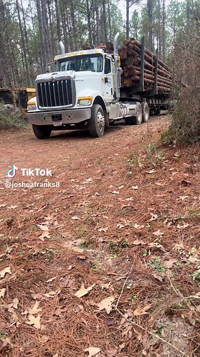 Pulpwood Timber Harvesting Techniques Explained