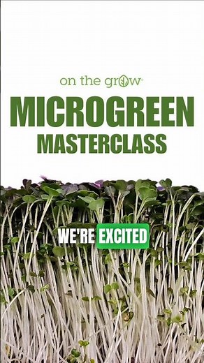 🌱 Microgreen Masterclass Course: Learn to Grow & Profit!