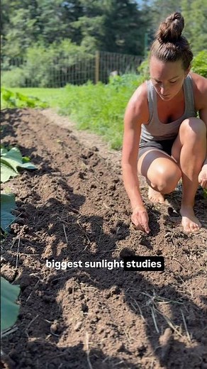 The Sun is NOT the Enemy… (more in description) #sunshine #tanning #vitamind