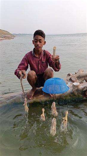 Amazing Big Fish Catching Method By Hook Traps - 13 #fishinglife #fishing