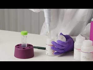 IndiMag 2: DNA/RNA Extraction with the IndiMag Pathogen Kit