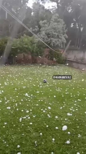 Temporal com granizo causa estragos em Erechim neste domingo