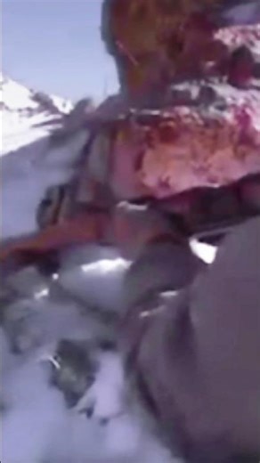 Wolf Hunt #hunting #hunterlife #mountains #wildnature