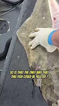 How they Fillet Giant Halibut in Alaska!