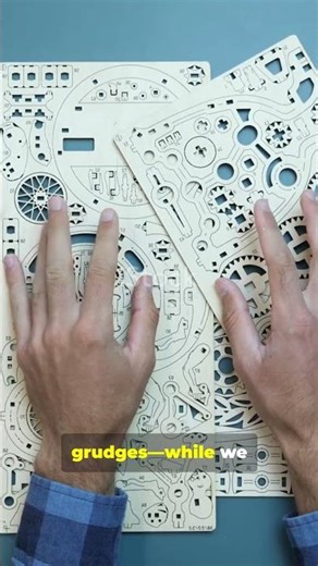 Crows Outsmart Humans 🧠 The Bird That Thinks Like Us