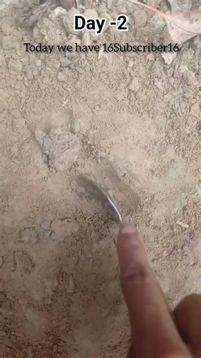 Subscribe for more #spoon #spoonfeeding #spoonchallenge #spoonchallenge #trending