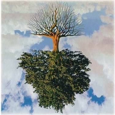 Hypothesis-driven Problem-solving Explained: Fundamental Tactics and Training — Lindsay Angelo