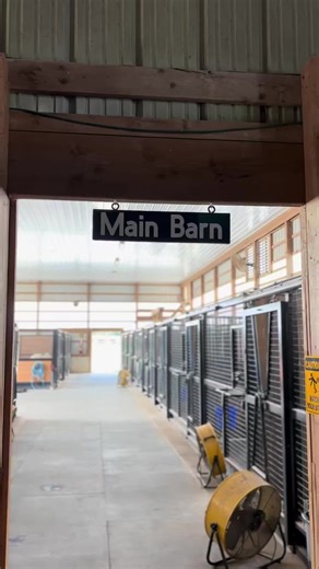 Days End Farm Horse Rescue on Instagram: "Take a virtual tour of our Main Barn! ✨ From cozy stalls for rehabilitation to daily care routines, this is where so much of the magic happens. 🐴💛 What other areas of the farm would you love to see behind the scenes? Tell us below! 👇🏼 #barntour #horserescue #animalrescue #virtualtour #behindthescenes #comealongwithme #equinecare"