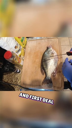 1st step to fillet a crappie | Fishing Ken
