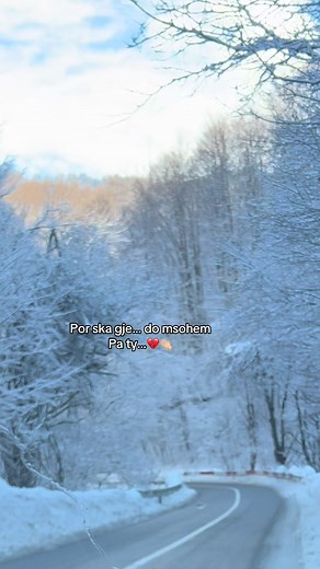 Serene Winter Landscape with Snow-Covered Trees
