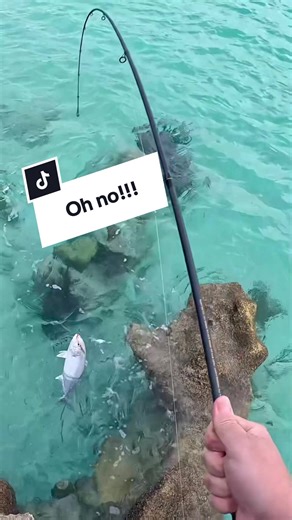 What happened?! 😱😱😵😂 Amberjack SMASHES the jig 🎣 but I DID NOT expect THAT! #fishing #fishtok #shorefishing #bermuda #fishingvideos