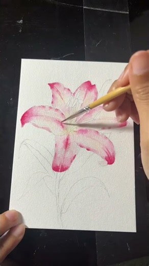 Watercolor lily flower taking shape from initial pencil sketch to final vibrant petals. #Shorts